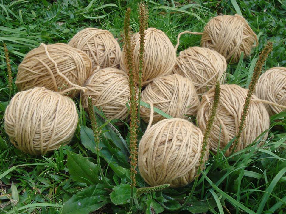 Tapetes da Serra do Mar pelo ecodesigner, slow designer Luan Valloto para Bosque de Iohana Hostel tingimento natural de café lã fiada a mão artesas esmirna bordado manual