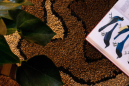 Tapetes da Serra do Mar pelo ecodesigner, slow designer Luan Valloto para Bosque de Iohana Hostel tingimento natural de café lã fiada a mão artesas esmirna bordado manual EDITORIAL