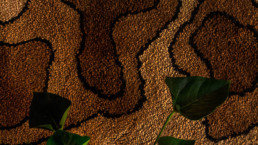 Tapetes da Serra do Mar pelo ecodesigner, slow designer Luan Valloto para Bosque de Iohana Hostel tingimento natural de café lã fiada a mão artesas esmirna bordado manual EDITORIAL